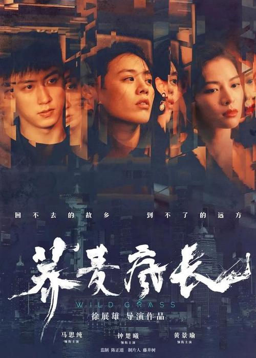 山东经贸职业学院毕业证补办